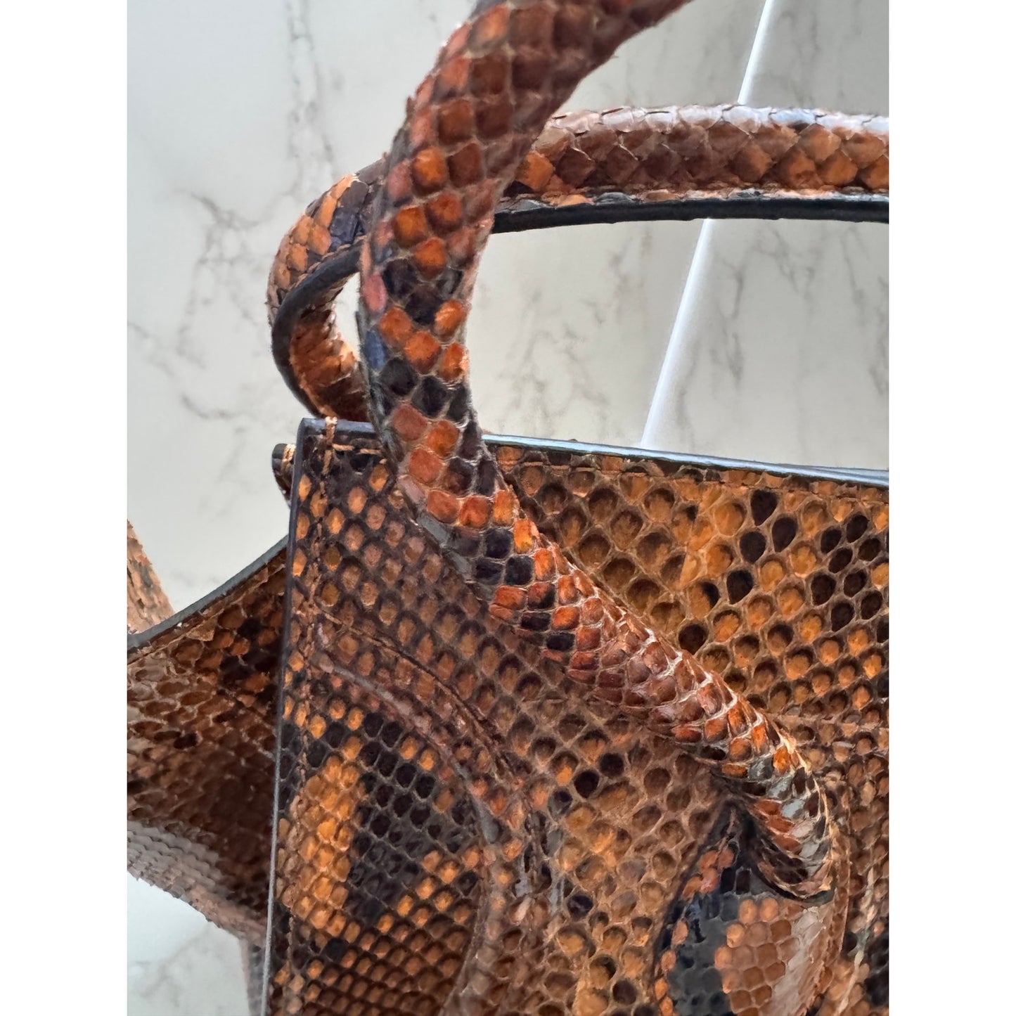Exotic Celine Phantom Tote in Brown Python
