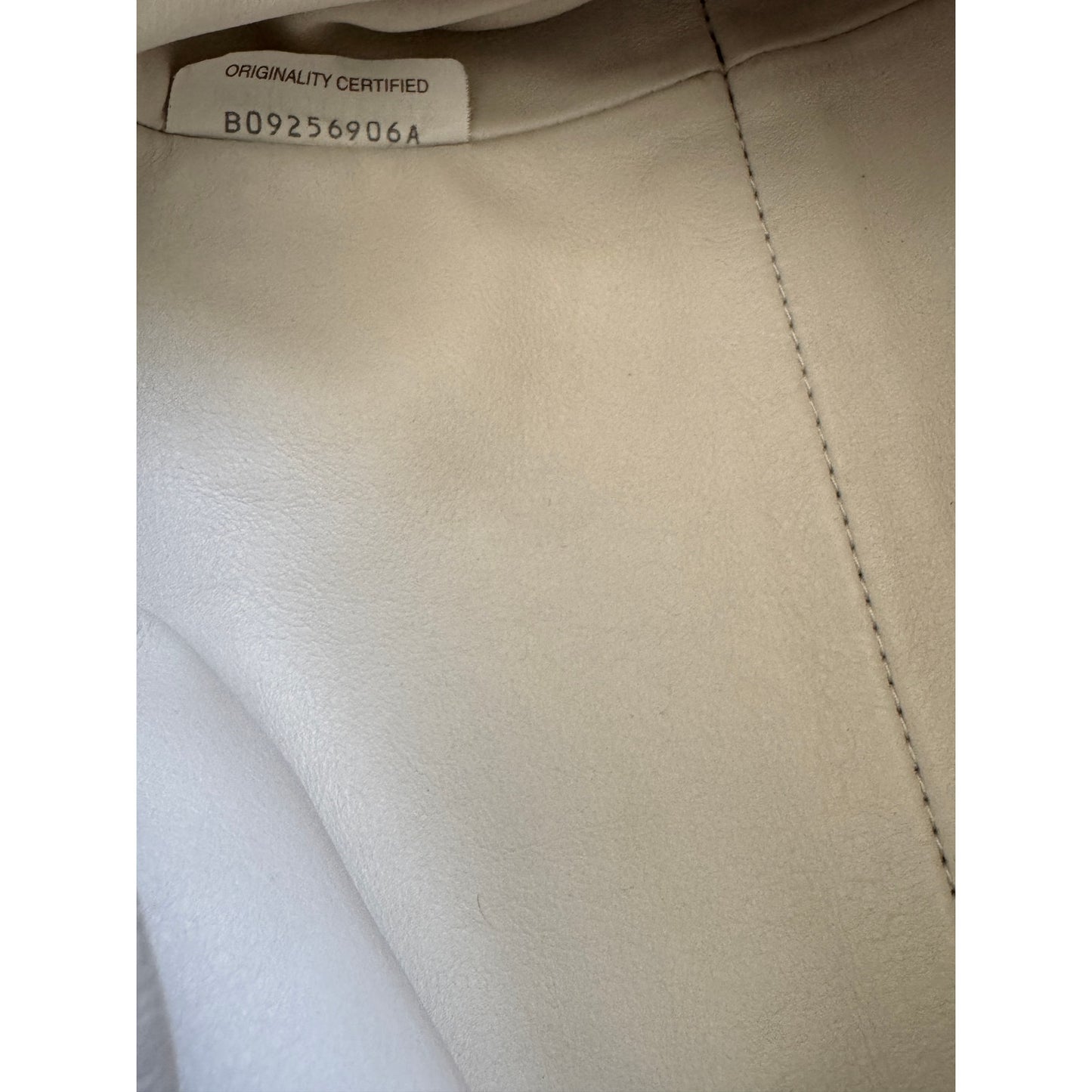 Bottega Venetta Mini Pouch in White.